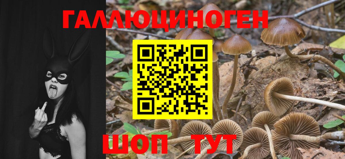 Галлюциногенные грибы GOLDEN TEACHER Саранск