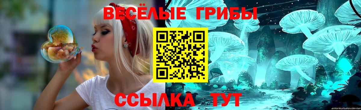 Галлюциногенные грибы мухоморы  Псилоцибиновые грибы прущие грибы  Саранск  Вход с VPN 
